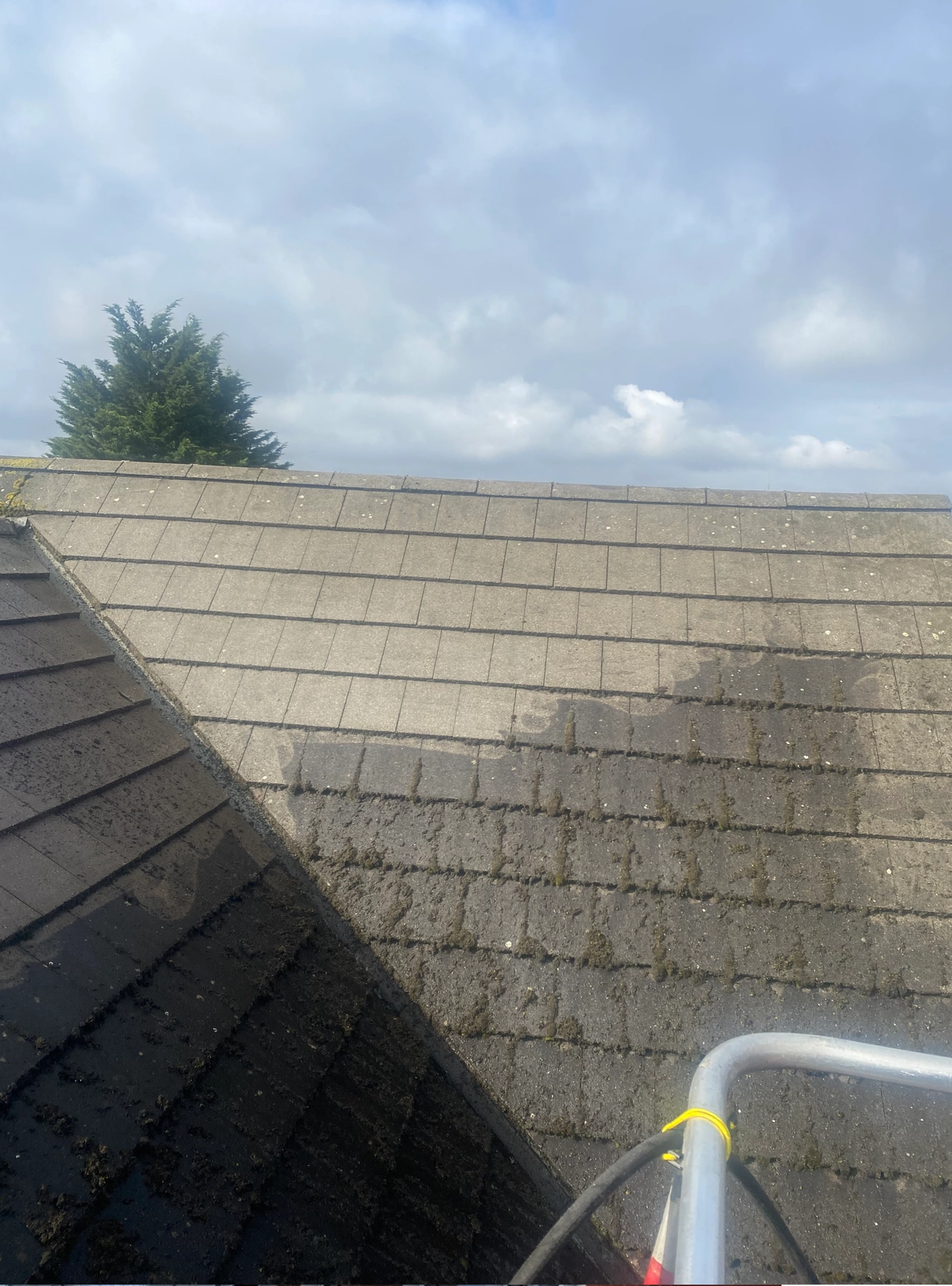 Roof cleaning example 2